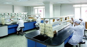 豪華賽皇宮，藥價為何高？——透視哈藥六廠事件中的網絡技術與輿論影響